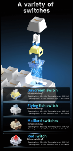 AJAZZ AK870 V2 Mailard Switch - Image 5