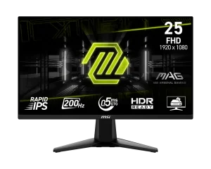 MSI MAG 255F E20